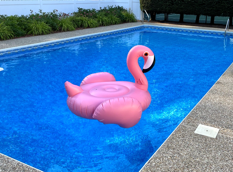 flamingo blow up on a pool